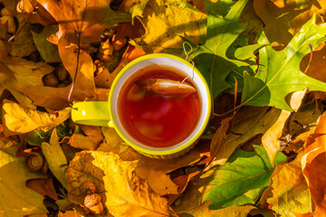 Top view of a cup of tea on autumn leaves.