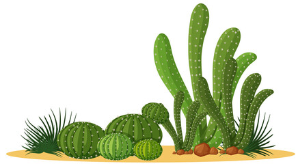 Different shapes of cactus in a group