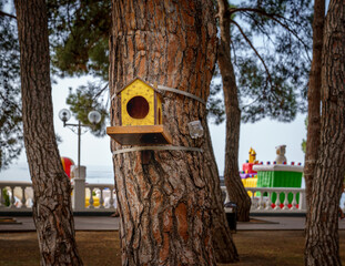 Handmade birdhouse hanging on the tree in park