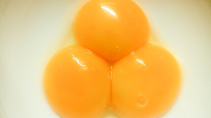 Three egg yolks close up