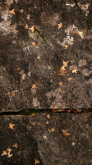 Dark-colored stone relief close-up