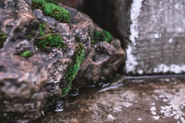 Naklejka na ściany i meble water flowing from a stone