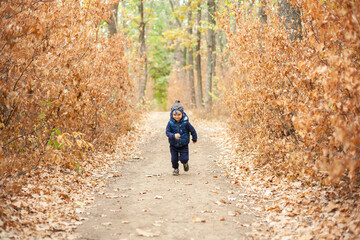 Obraz premium A little girl runs through the forest. The girl is having fun in the forest.