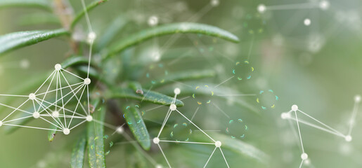 environment ecology concept - abstract image.