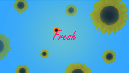 background with sunflowers