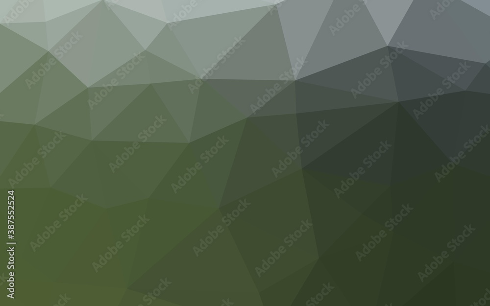 Wall mural light green vector abstract polygonal layout.