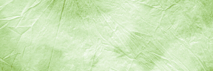 Obraz na płótnie Canvas Tie Dye Batik Texture. Green Natural Abstract 