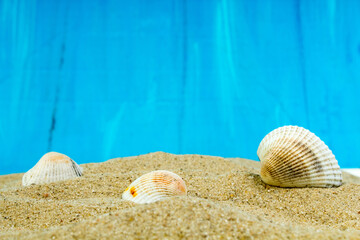 sea sand starfish, coral and pebbles as background. Concept of rest. Top view.