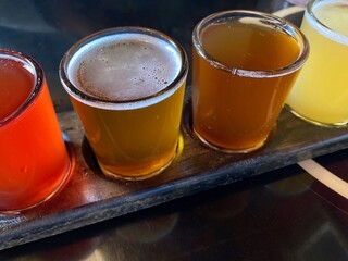 Craft micro brewery beer flight
