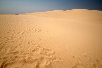duna desierto