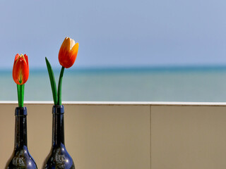 Tulpen aus Holz in Rot und Gelb am Meer in Sizilien
