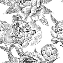 Seamless pattern of peony flowers and leaves. Graphics. Engraving. Hand drawn