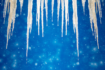 Obraz na płótnie Canvas White icicles against the blue winter sky.