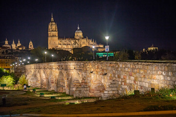 ciudad monumental de Salamanca vista nocturna