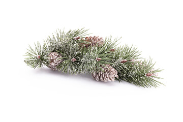 Christmas tree isolated on a white background.