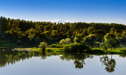 reflection of trees in water