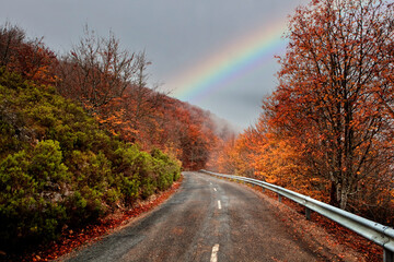 Lonely road with a amazing sky