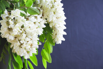 Beautiful bouquet of white flowers in a vase. Wisteria is white.