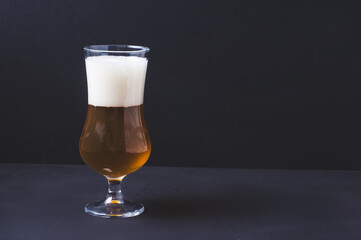 beer glass tulip with homemade beer and foam on black background.Craft beer brewing from grain barley pale malt in process. Ale or lager from pilsner malt.