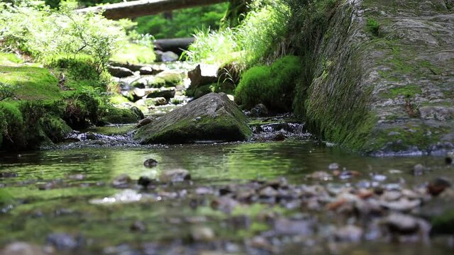 Bach am kleinen Arbersee in Oberbayern