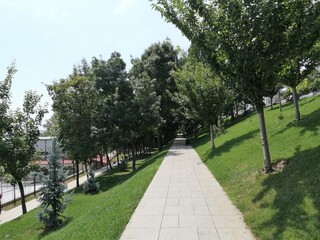 alley in the park