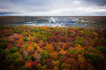 Aerial of Foliage in Princeton New Jersey 