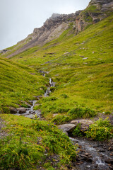 Fototapeta na wymiar Small stream in the green hills of the Valais Alps of Switzerland near First. 