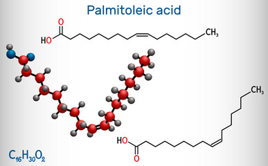 Palmitoleic acid, palmitoleate molecule. It is an omega-7 monounsaturated fatty acid. Structural chemical formula on the dark blue background