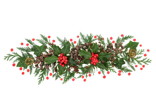 Christmas decoration winter with holly, ivy & cedar cypress on white background. Decorative natural element & banner for the festive holiday season and New Year. Flat lay, top view, copy space.