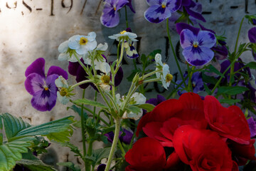 The flowers and a gravestone