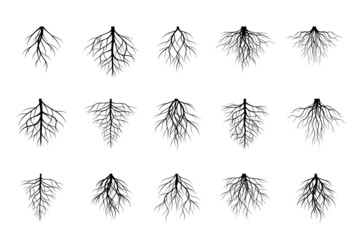 Naklejka premium A set of black Tree Roots. Vector outline Illustration. Plant and Garden.