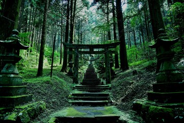 上色見熊野座神社 - obrazy, fototapety, plakaty