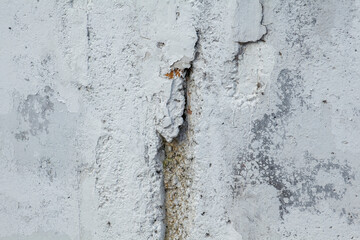 Part of a close-up concrete wall with cracks, covered with white paint. Urban texture.