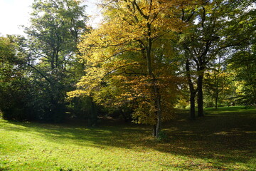 Fototapeta na wymiar Herbst im Stadtpark Steglitz