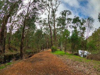 Walk near River in Lane Poole Reserve Western Australia.