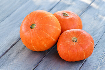 Three pumpkins lie on a wooden background. Autumn bright background. Halloween