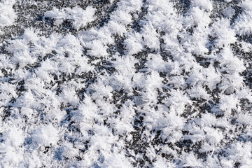 Snowy white background with frosty crystals and curly snowflakes close-up. Winter is a cold season with a blinding white bright color