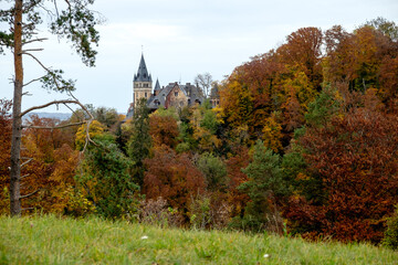 Hochschloss Pähl mit Herbstwald