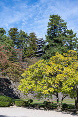 Fototapeta premium 松江城