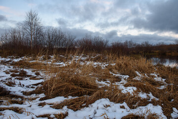 Field in the late autumn