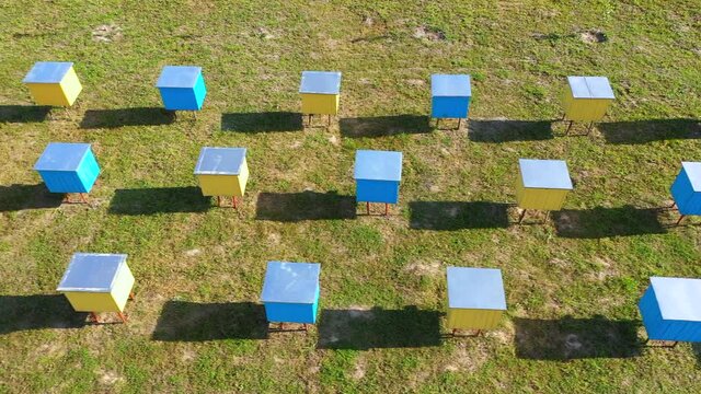Eco-friendly apiary. An apiary where ecologically clean honey and other beekeeping products are obtained. Top views.
