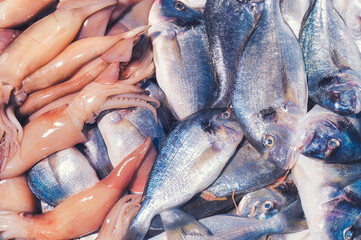 Seebrasse und weitere Fischsorten im Verkauf auf dem Fischmarkt