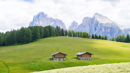 Fototapeta na wymiar two wooden huts in a field, Alpe di Siusi or Seiser Alm, Dolomites Alps, South tyrol, Italy. 