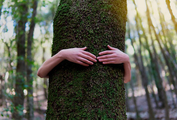 A woman's hands hugging a tree.