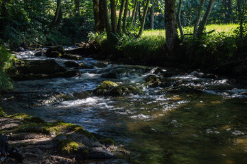 Obraz premium Auvergne