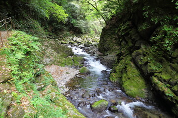 宮崎県高千穂の小川