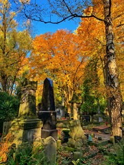 autumn in the old cementery