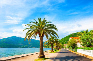 Beautiful sea embankment with palms near Tivat, Montenegro. Kotor bay, Adriatic sea. Famous travel destination.