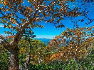 View from alpine where autumn leaves began (Tochigi, Japan)