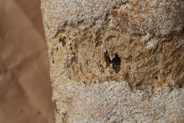 pan masa madre